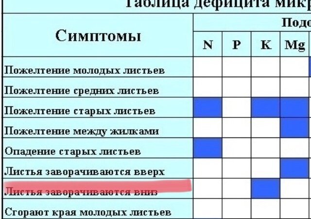 16E83B8C-411A-4FCB-9469-7A9AAB67785A.thumb.jpeg.b4395a937f01a721be116d7b618b60aa.jpeg
