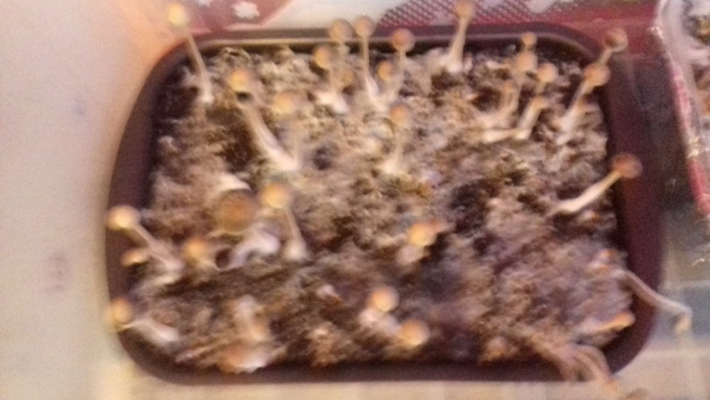 20180304_110805.jpg