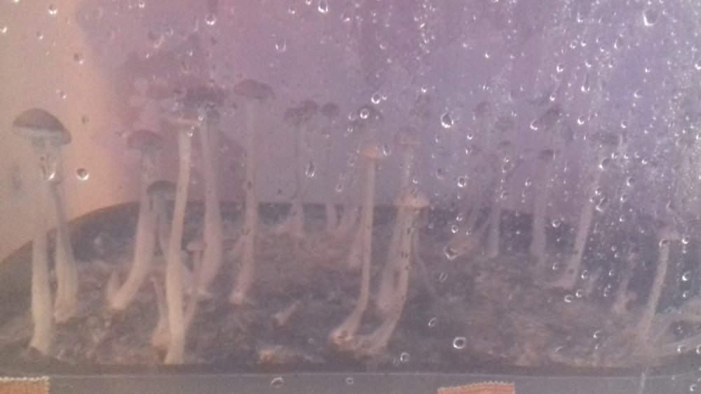 20180304_112343.jpg