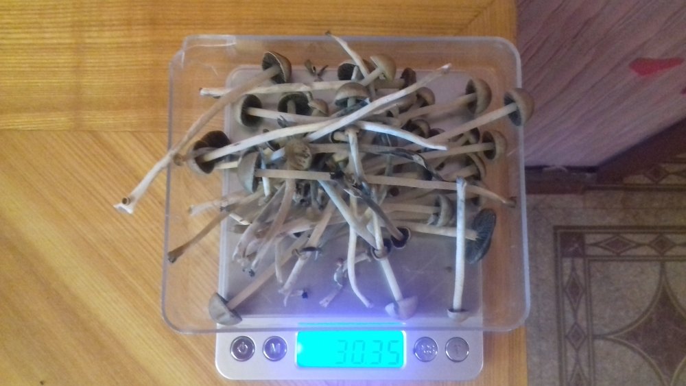 20180304_124532.jpg