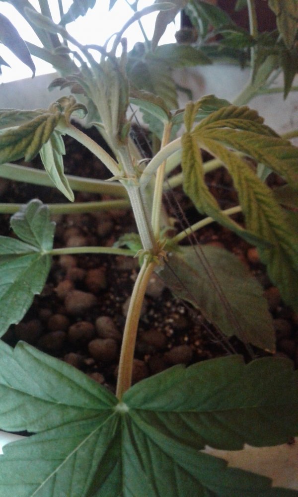 20180312_013447.jpg