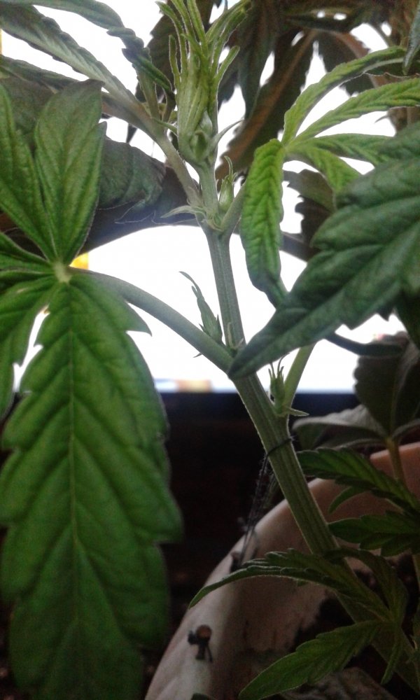 20180312_013545.jpg