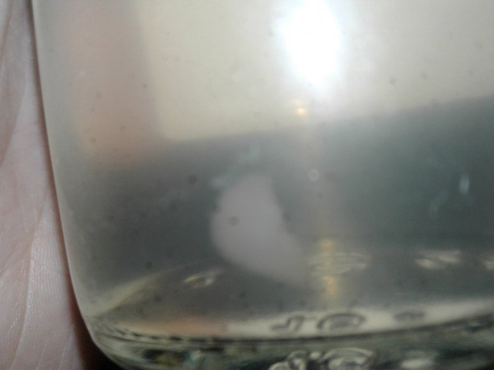 20180312_091556.jpg