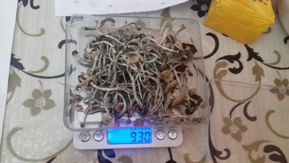 20180318_104133.jpg