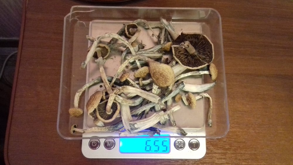 20180320_160521.jpg