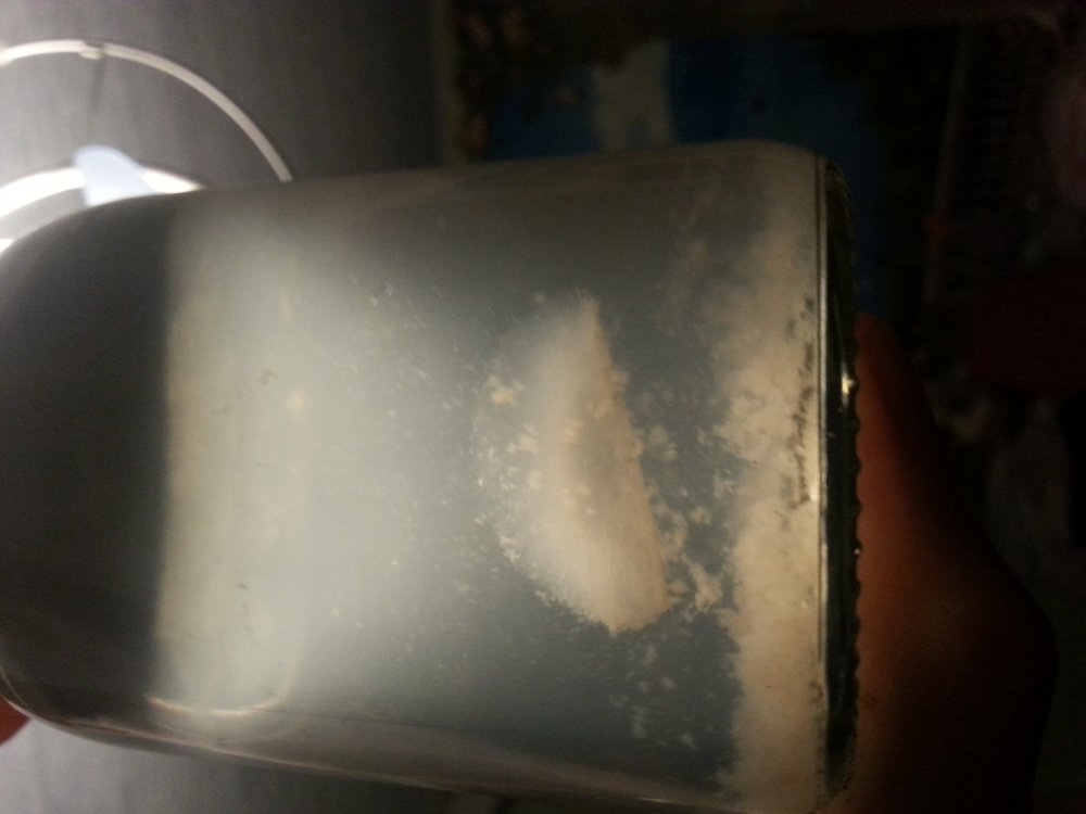 20180321_204558.jpg