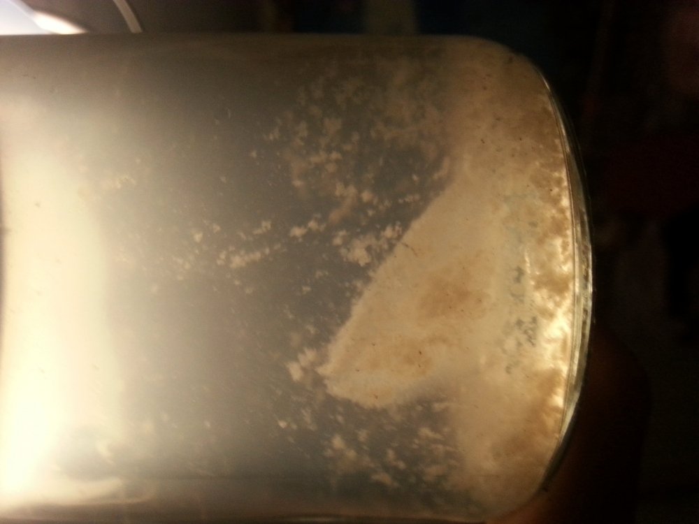 20180321_204612.jpg