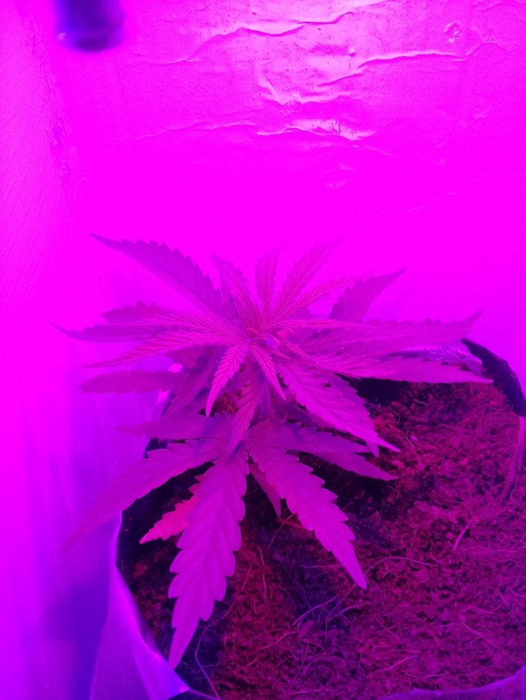 20180324_220509.jpg