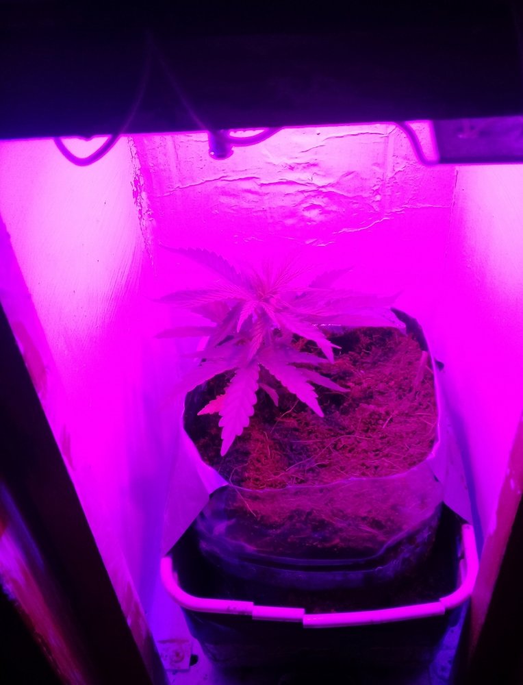 20180324_220537.jpg
