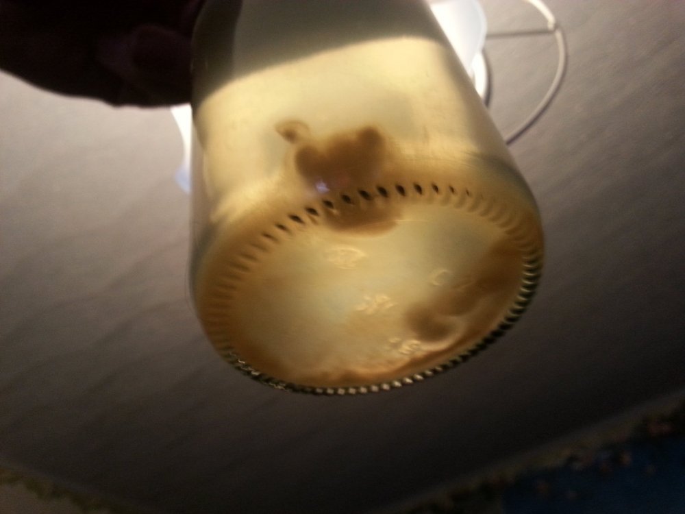 20180327_162759.thumb.jpg.5b701bbfdd92a9f066ac5a1ae74b0caa.jpg