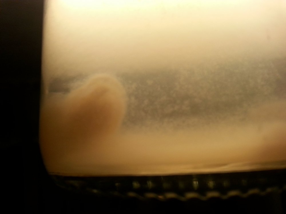 20180327_162829.thumb.jpg.822083181b7c6e8137e11ebb9a3b3480.jpg