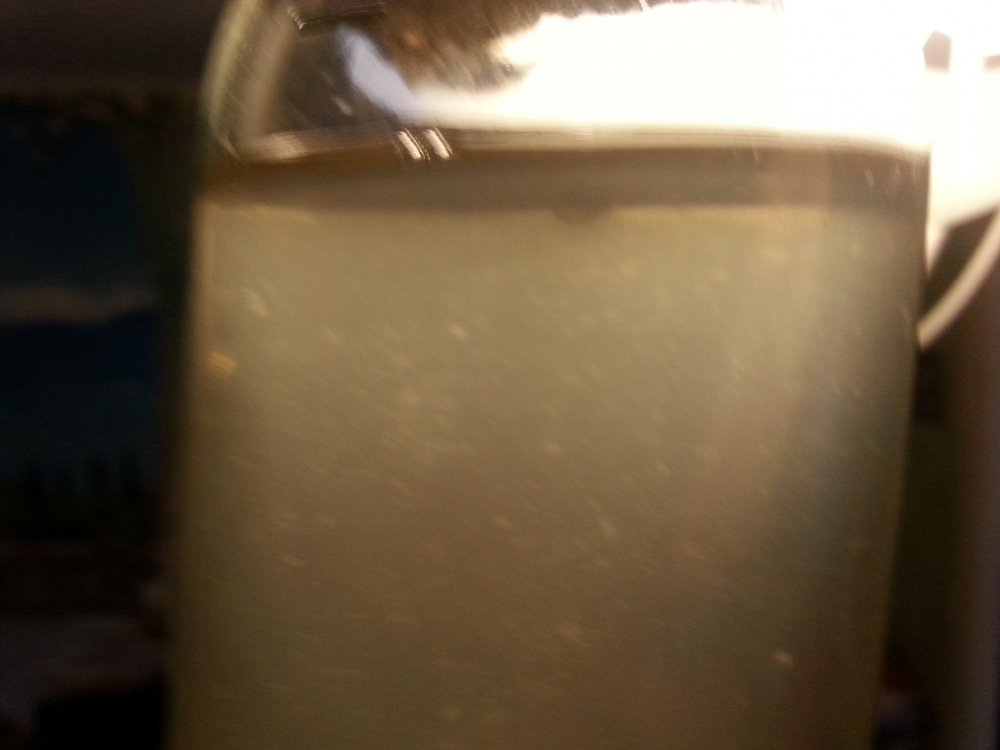 20180327_162843.thumb.jpg.b0fc9b9680248ee789603246d5fe0d42.jpg