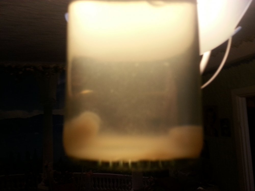 20180327_162855.thumb.jpg.894aaba08da2dce07c35bd7f29e6c912.jpg