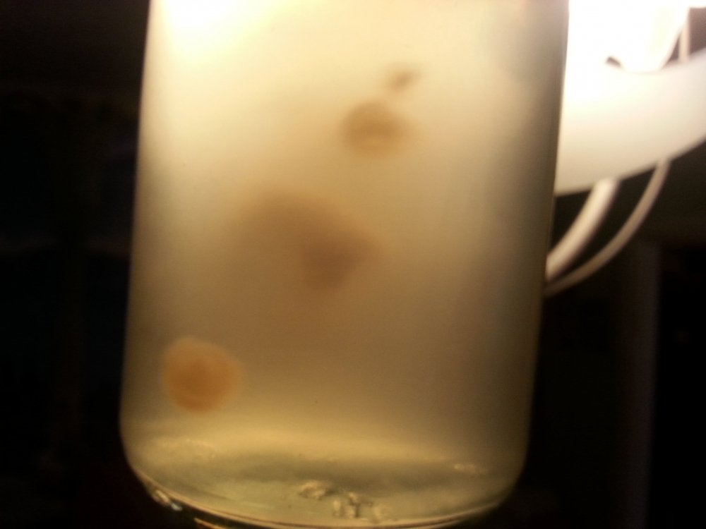 20180327_162910.thumb.jpg.55d470ddbff158df1766c849e35effff.jpg