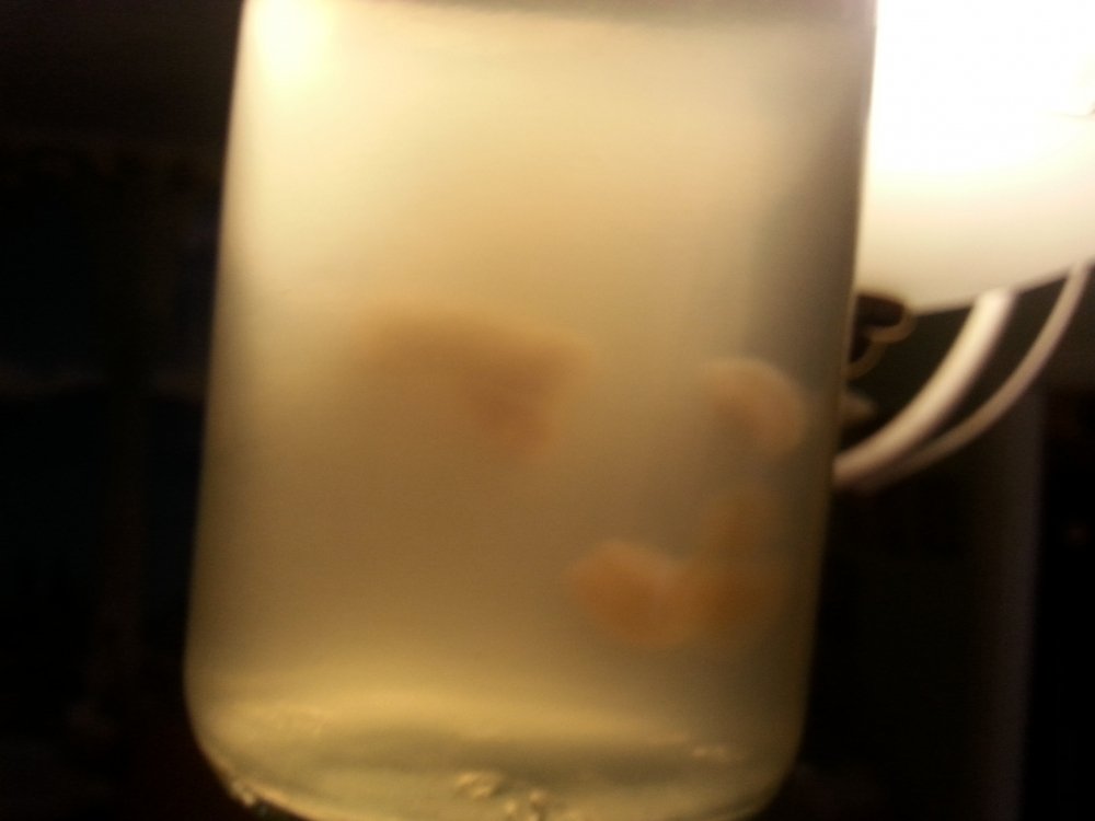 20180327_162912.thumb.jpg.130212cadb96c8e98d5f78ba8cc2399f.jpg