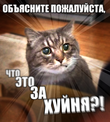 203127482.png