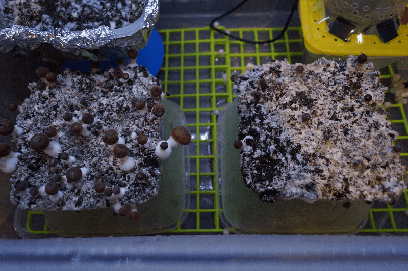 590d69870b902_18.gif.eef216d178320208b9a71e00b68514e6.thumb.gif.9479d658d2da30fdb5c44e8ddcc242fc.gif
