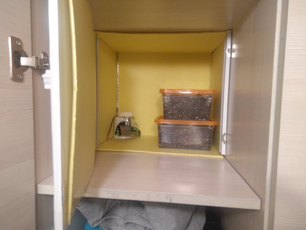 5aaeb81396ad3_2018-03-1820-22-09.thumb.JPG.62ef2db2f1168391bacbffcdc5e041bc.JPG