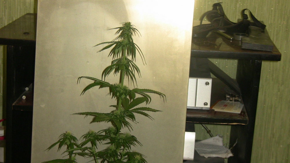 42 04.JPG