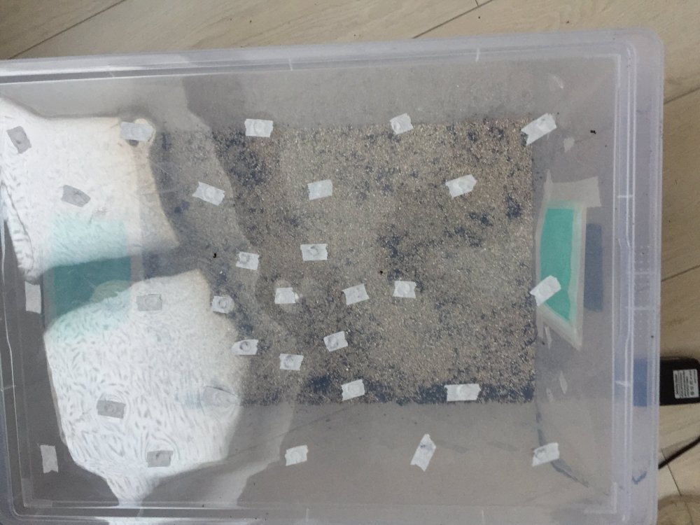 74A88C67-59B3-4DC4-98C2-3BD8F75DC671.jpeg