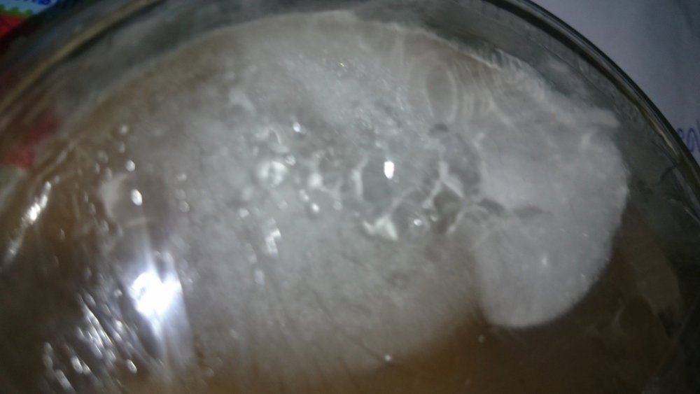 DSC_0544.thumb.JPG.b8c4d509703bd040bc36ab7c9cd91b7a.JPG