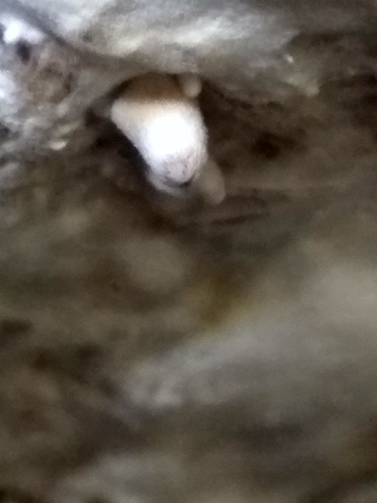 IMG_20180323_205611_HDR.jpg