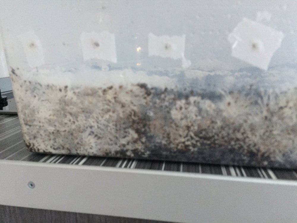 IMG_7682.JPG