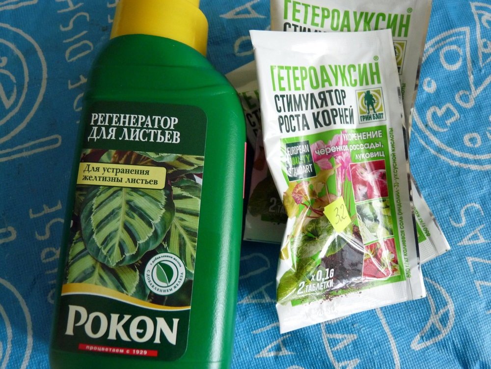 P1190163.JPG