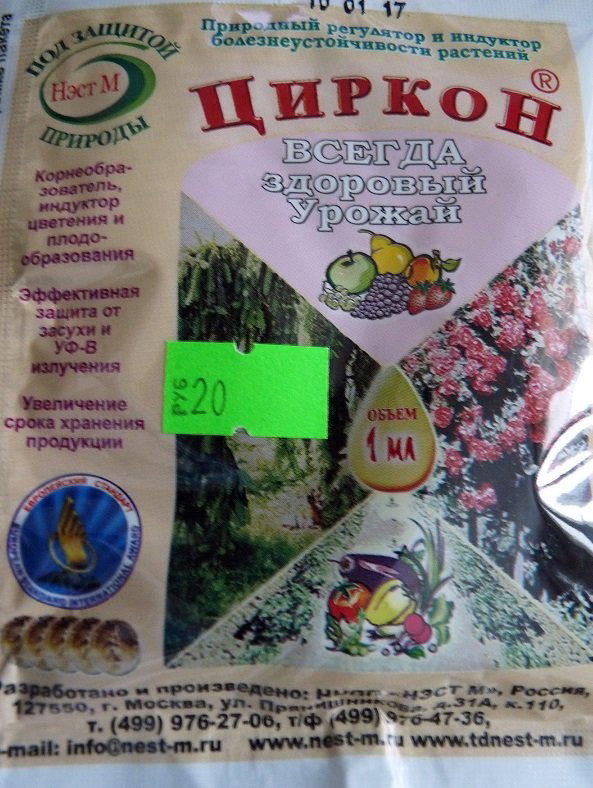 P1190169.JPG
