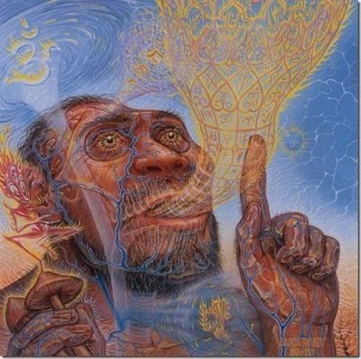 stoned-ape-mushroom.jpg