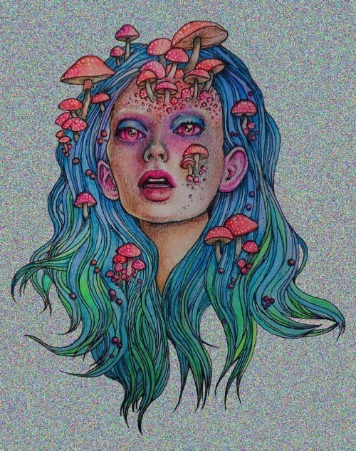 tumblr_nal6hkQgY81qiwt6qo1_500.jpg