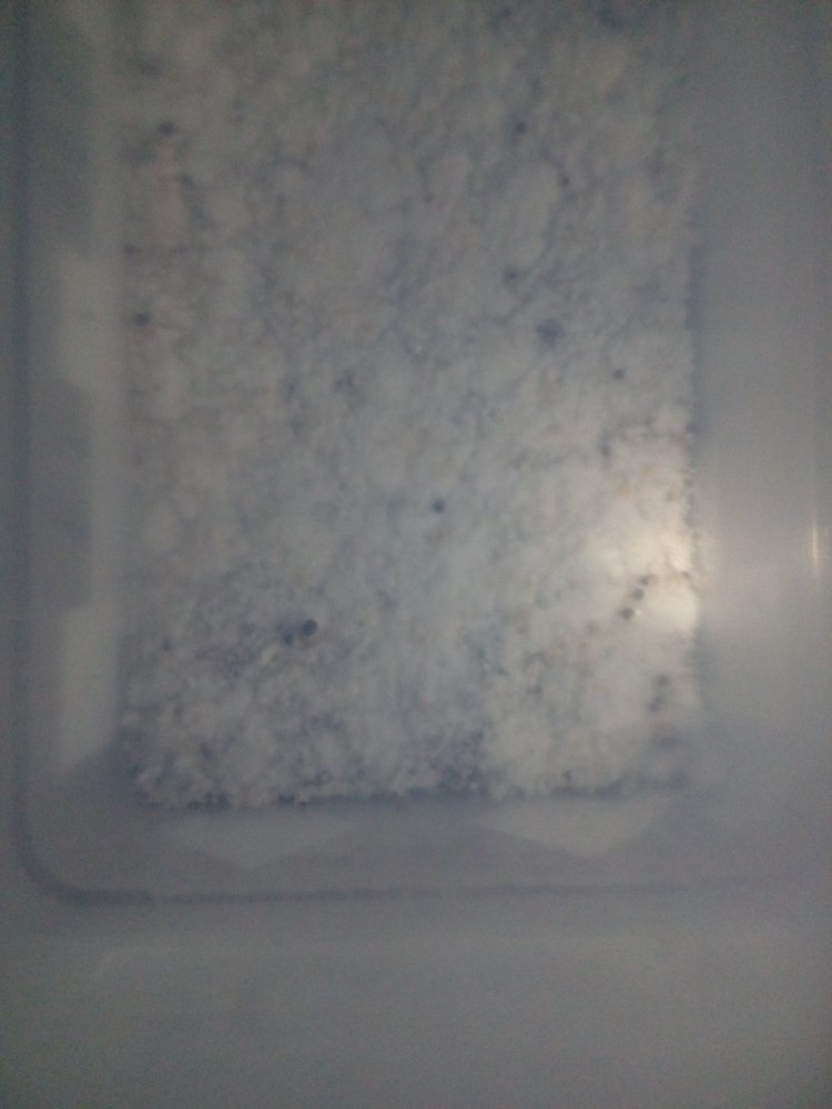 1124.jpg