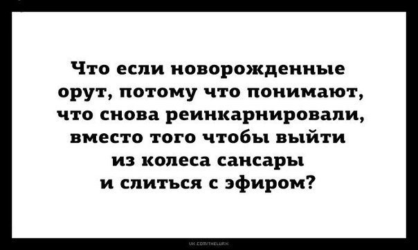 1522486486.thumb.jpg.3e6a470f55fbccb5e2207094bc497308.jpg