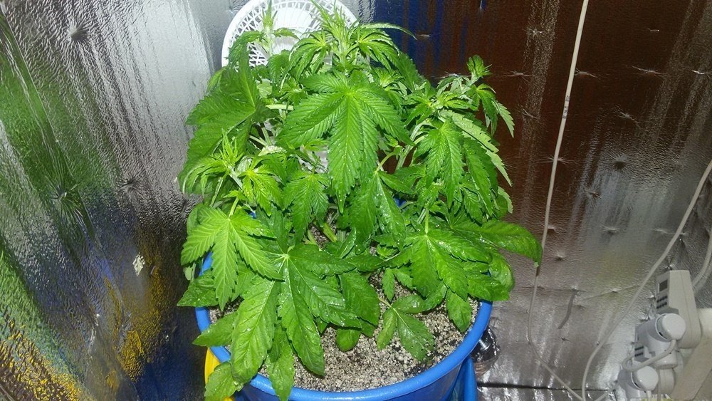 20180402_225932.jpg