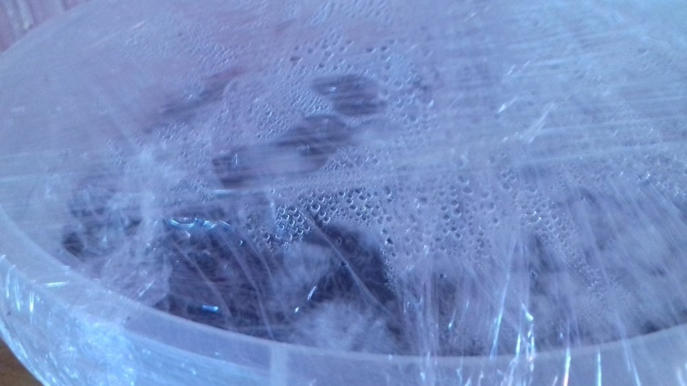 20180412_151217.jpg