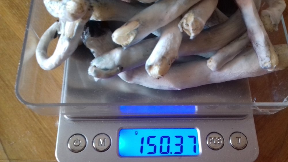20180415_114038.jpg