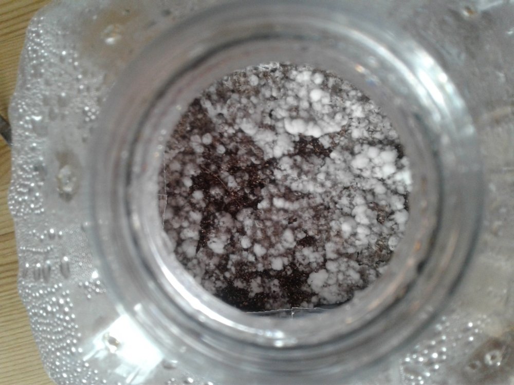 20180421_182902.jpg