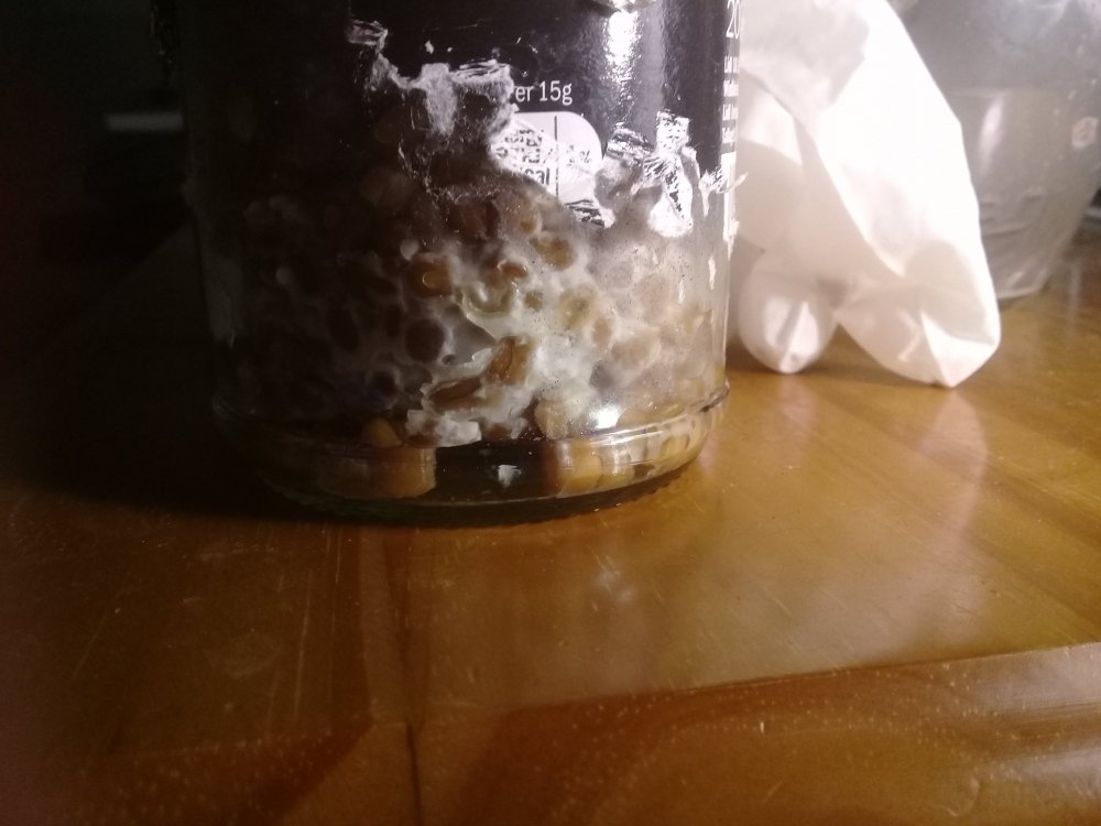20180427_225558.jpg