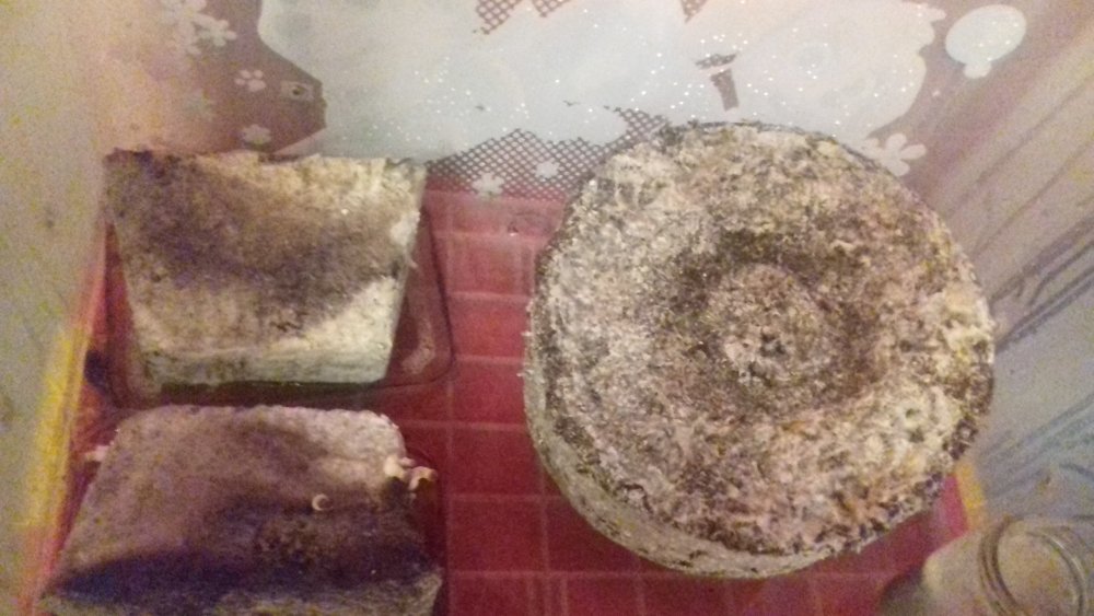 20180429_001828.jpg