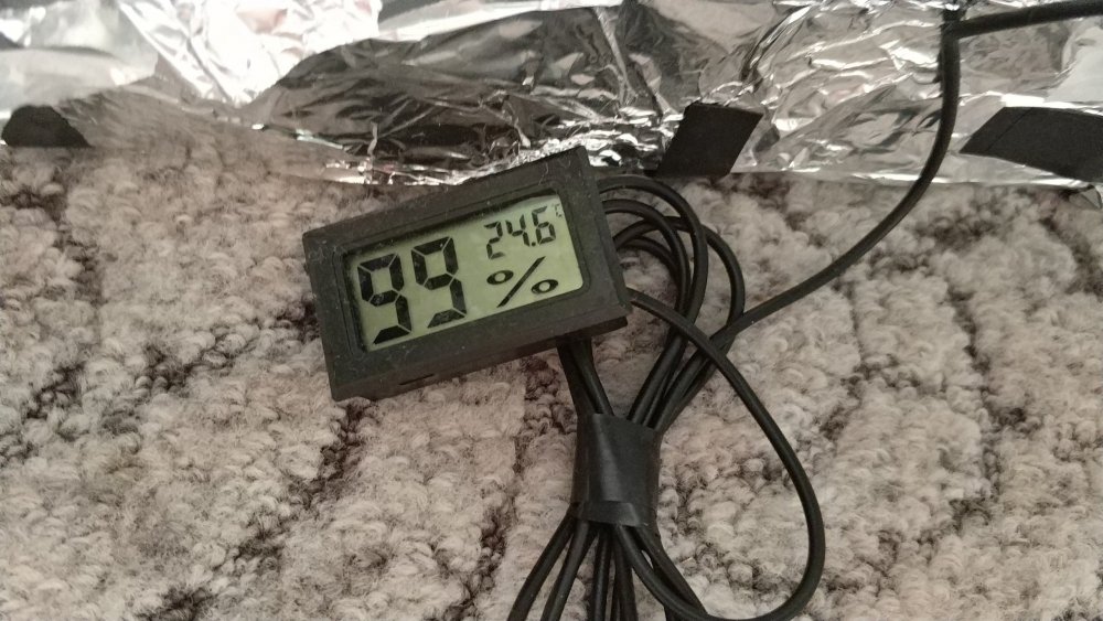 2MSDQxwirXU.thumb.jpg.6f8abca2215f09f68e9bfa5a50e6e1ed.jpg