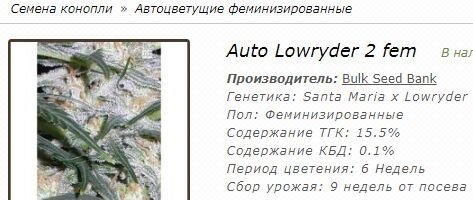 Буфер обмена.jpg