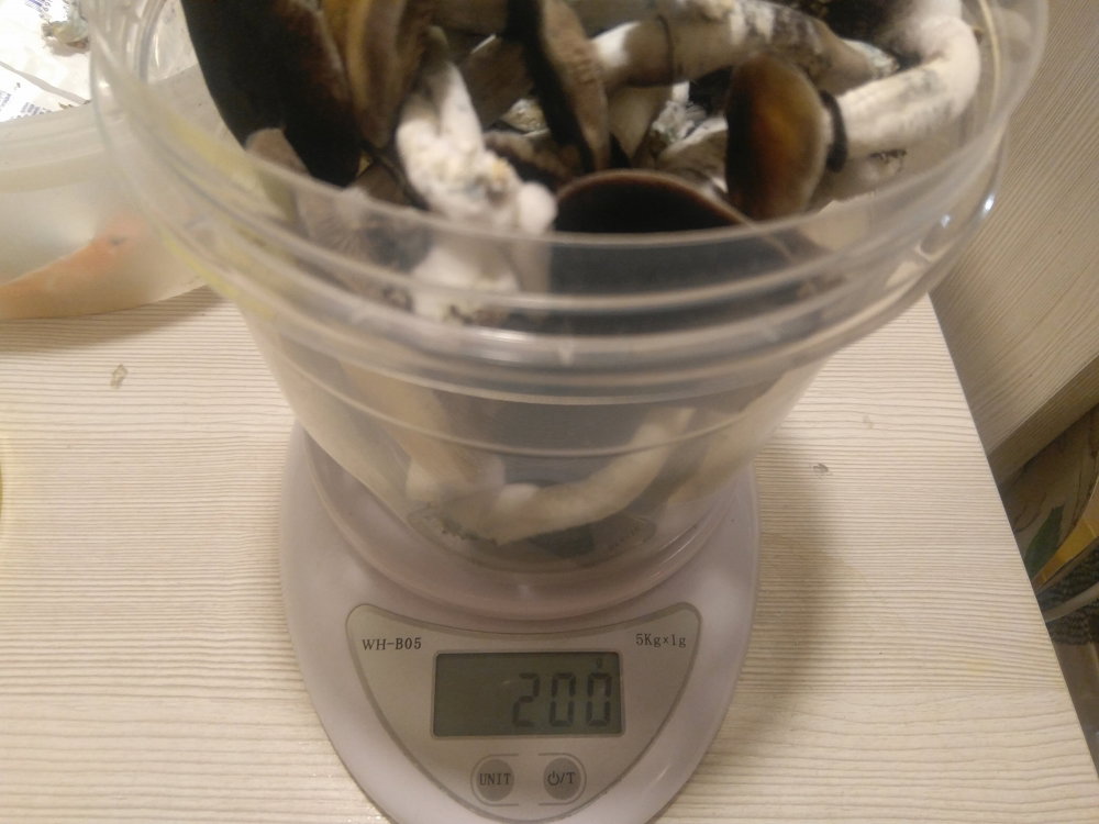 5ae21257497a0_2018-04-2620-22-30.thumb.JPG.58922ace55f2be813c03dbbde6a9e5fd.JPG