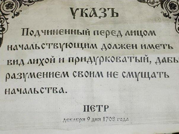 K1DPXXjXs9c.jpg