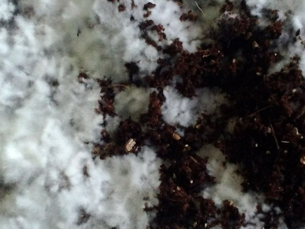 P_20180405_160226.jpg