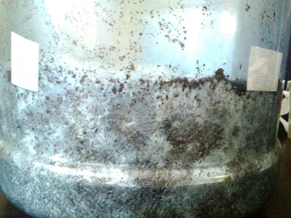 P_20180409_091918.jpg