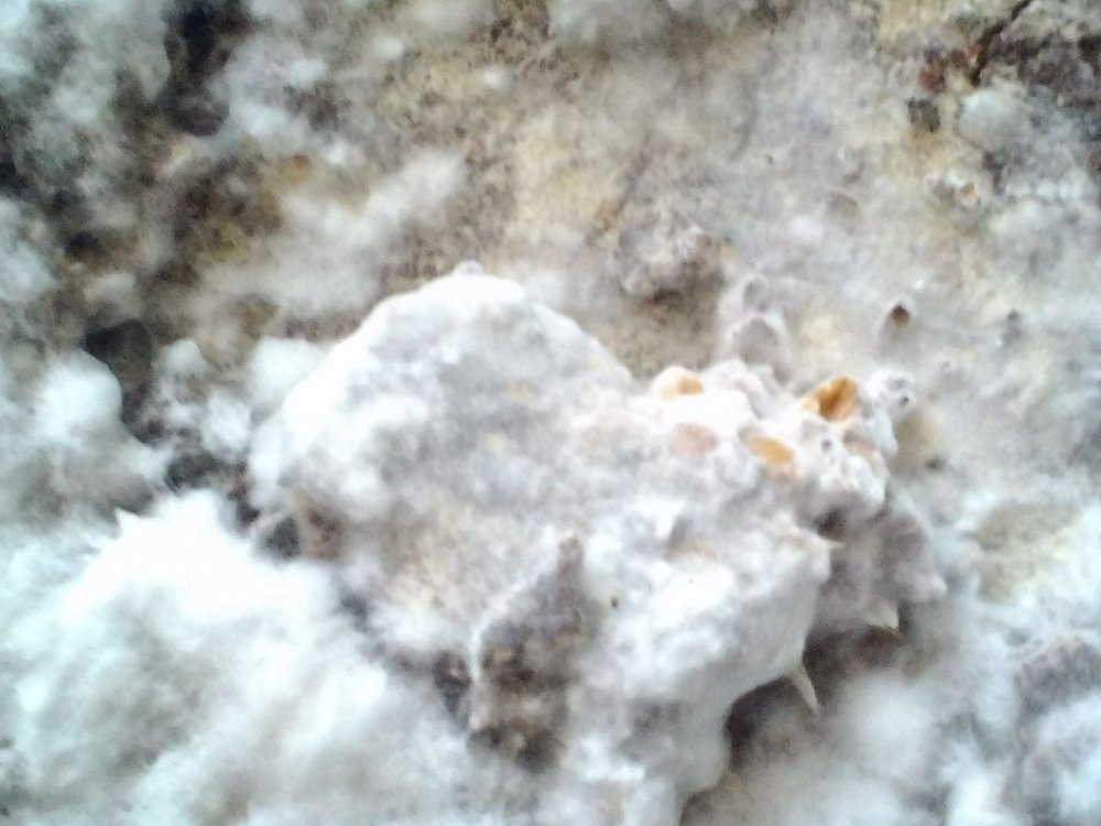 P_20180416_092428.jpg