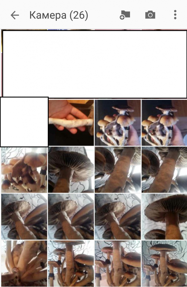 Screenshot_2018-04-28-16-16-48.thumb.png.92bc0610ba3b2ab9eedd18ab94b6bd47.png