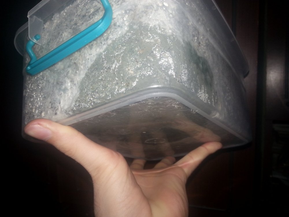 20180505_124812.thumb.jpg.a8ed92000eed9f7fb51860deeef79e39.jpg
