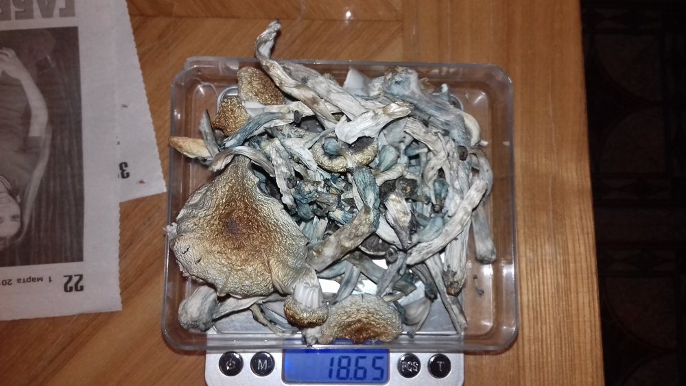20180509_140639.jpg