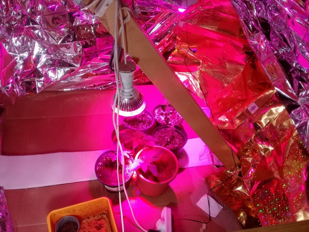 20180511_165035.jpg